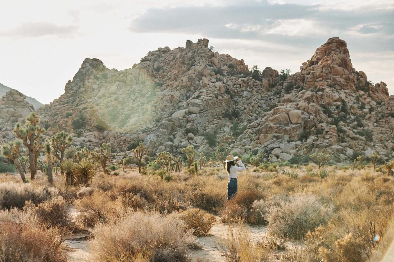 Hotel Field Station Joshua Tree Yucca Valley Zewnętrze zdjęcie