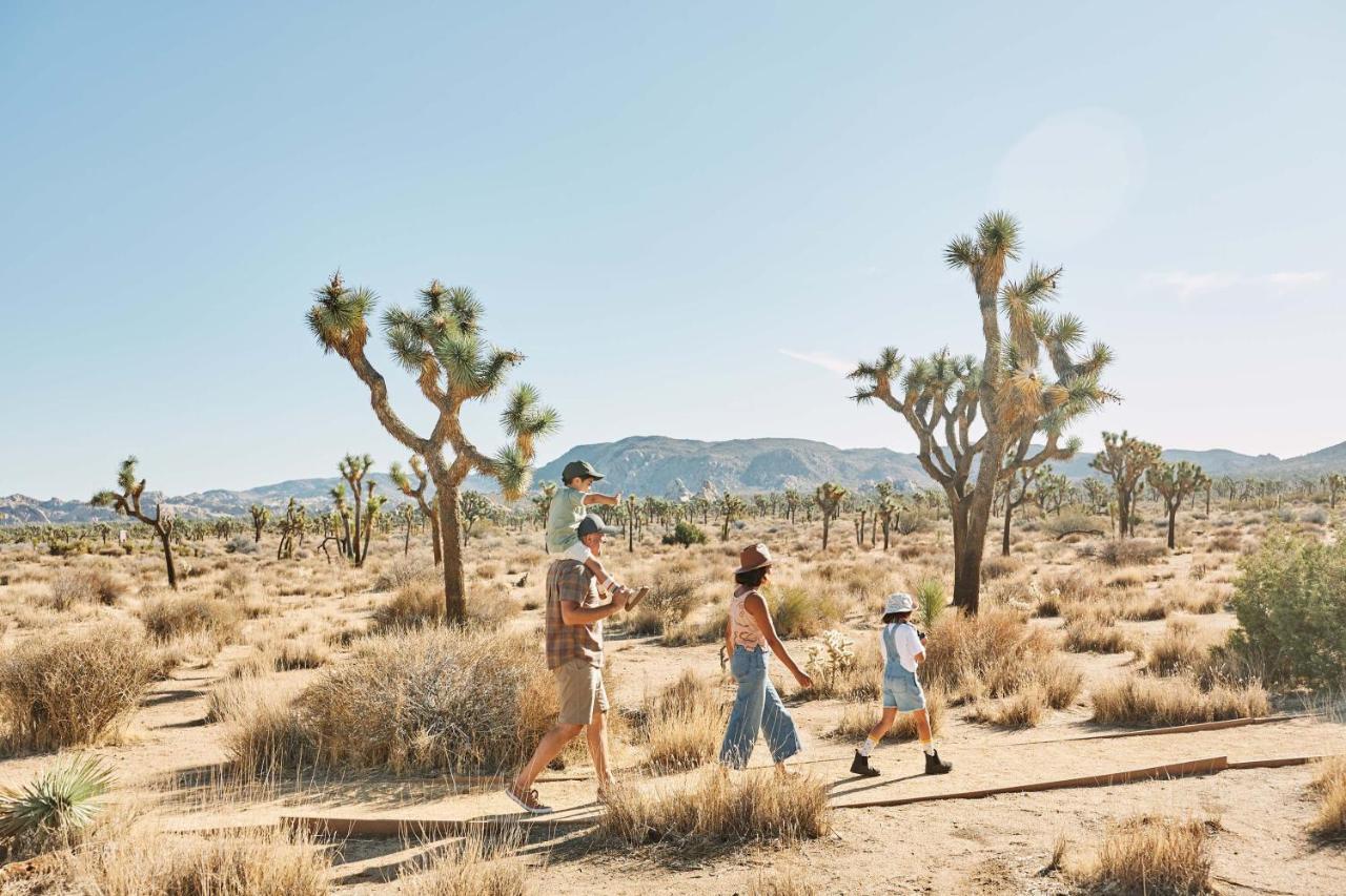 Hotel Field Station Joshua Tree Yucca Valley Zewnętrze zdjęcie